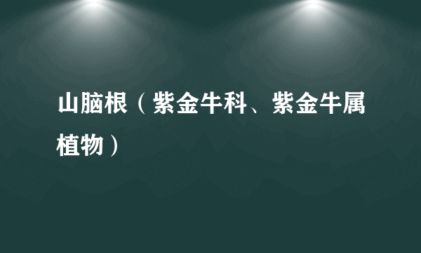 山脑根（紫金牛科、紫金牛属植物）