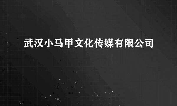 武汉小马甲文化传媒有限公司