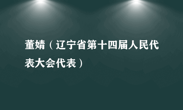 董婧（辽宁省第十四届人民代表大会代表）