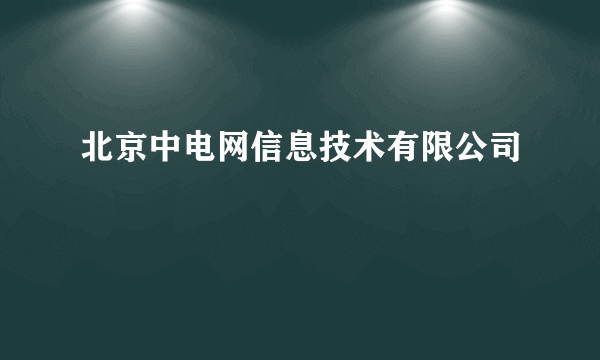 北京中电网信息技术有限公司