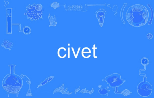 civet