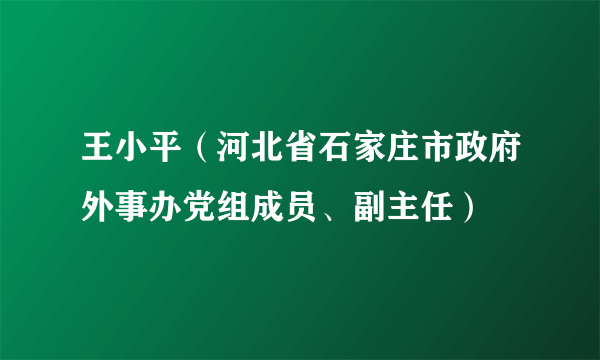 王小平（河北省石家庄市政府外事办党组成员、副主任）