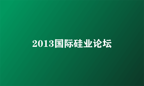 2013国际硅业论坛