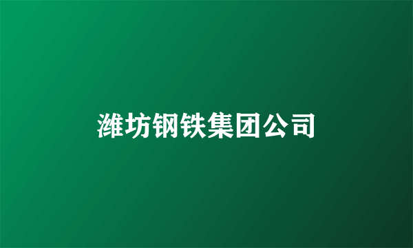 潍坊钢铁集团公司