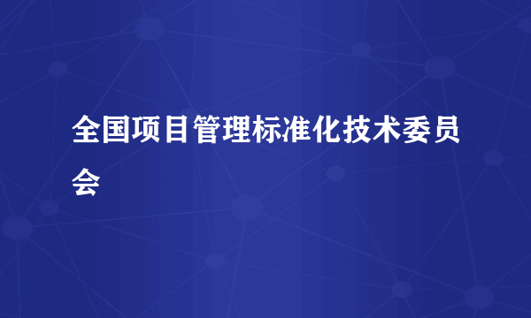 全国项目管理标准化技术委员会