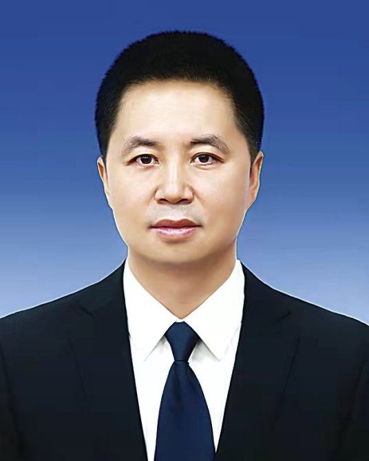 陈伟宏（黑龙江省鹤岗市政府副市长、党组成员，市公安局党委书记、局长、督察长）