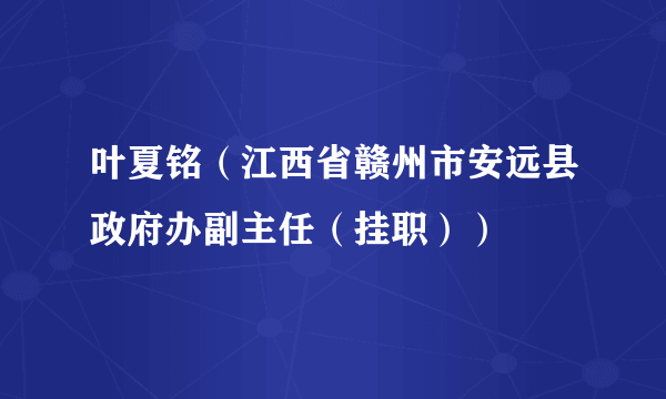 叶夏铭（江西省赣州市安远县政府办副主任（挂职））