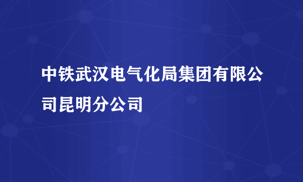 中铁武汉电气化局集团有限公司昆明分公司