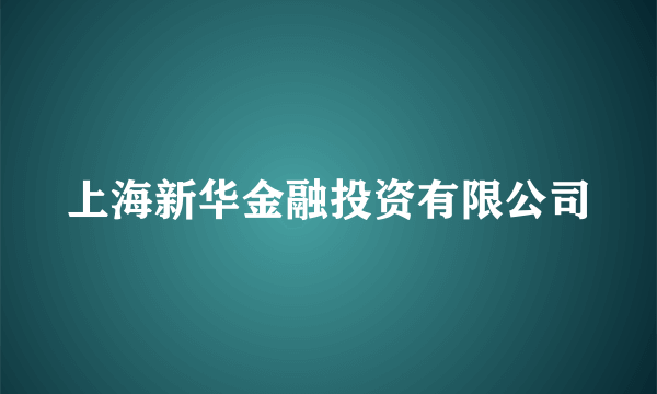 上海新华金融投资有限公司