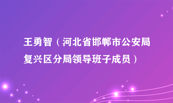 王勇智（河北省邯郸市公安局复兴区分局领导班子成员）