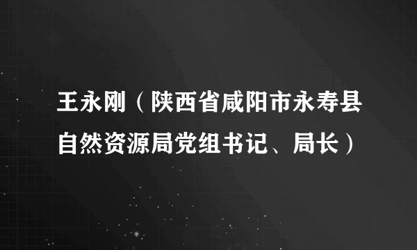 王永刚（陕西省咸阳市永寿县自然资源局党组书记、局长）