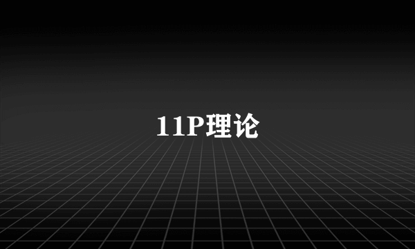 11P理论