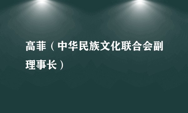 高菲（中华民族文化联合会副理事长）