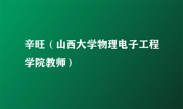 辛旺（山西大学物理电子工程学院教师）