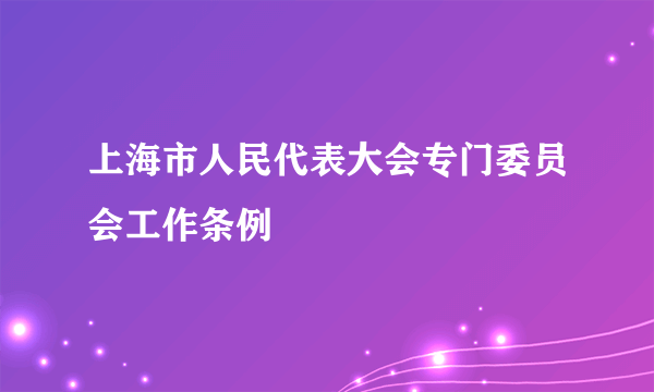 上海市人民代表大会专门委员会工作条例