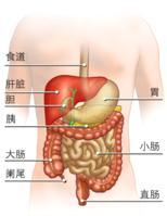 急性直肠炎