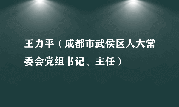 王力平（成都市武侯区人大常委会党组书记、主任）