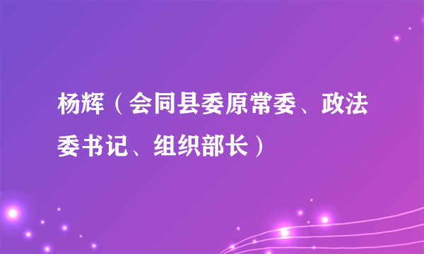 杨辉（会同县委原常委、政法委书记、组织部长）