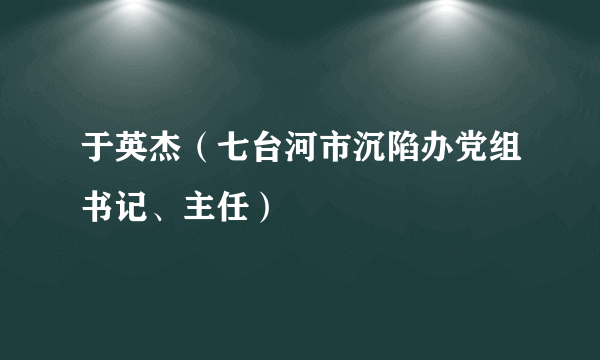 于英杰（七台河市沉陷办党组书记、主任）