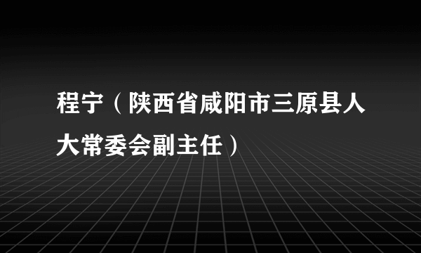 程宁（陕西省咸阳市三原县人大常委会副主任）