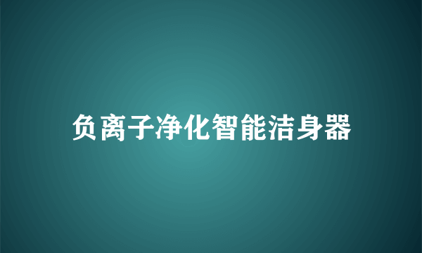 负离子净化智能洁身器