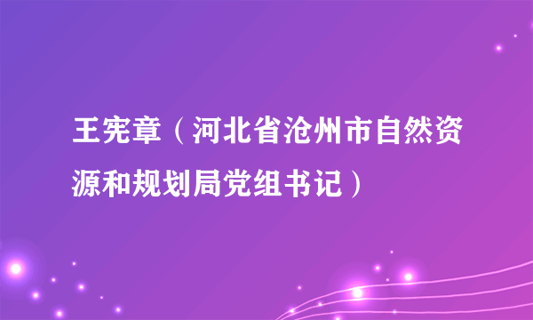 王宪章（河北省沧州市自然资源和规划局党组书记）