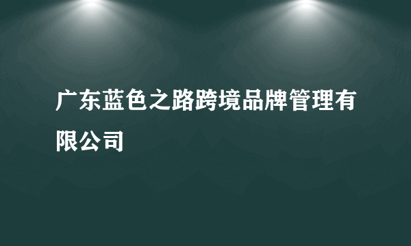 广东蓝色之路跨境品牌管理有限公司