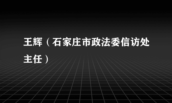 王辉（石家庄市政法委信访处主任）