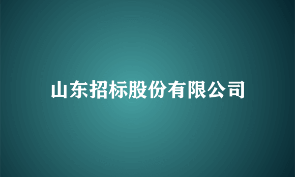 山东招标股份有限公司