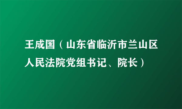 王成国（山东省临沂市兰山区人民法院党组书记、院长）