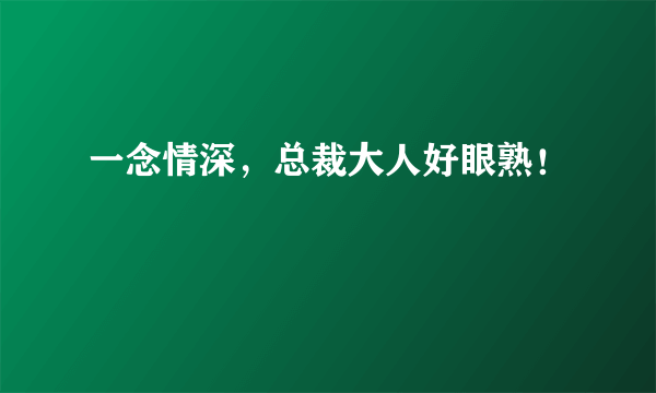 一念情深，总裁大人好眼熟！