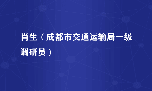 肖生（成都市交通运输局一级调研员）