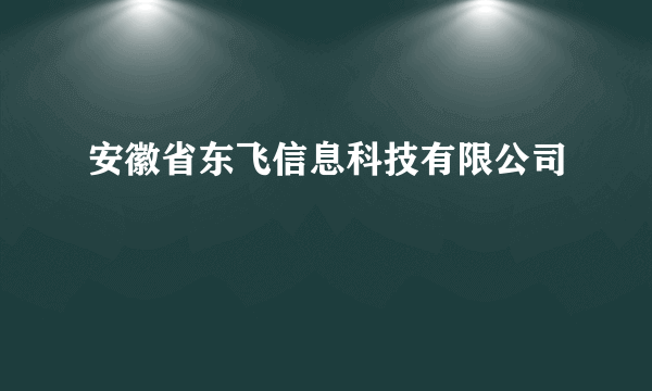 安徽省东飞信息科技有限公司