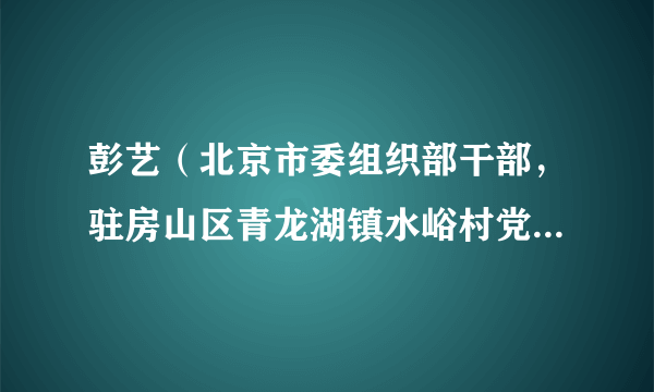 彭艺（北京市委组织部干部，驻房山区青龙湖镇水峪村党支部第一书记）