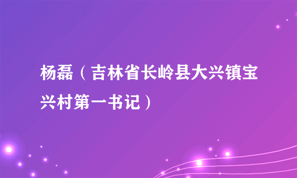 杨磊（吉林省长岭县大兴镇宝兴村第一书记）