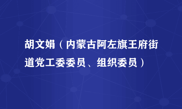 胡文娟（内蒙古阿左旗王府街道党工委委员、组织委员）