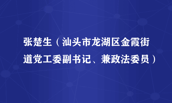 张楚生（汕头市龙湖区金霞街道党工委副书记、兼政法委员）