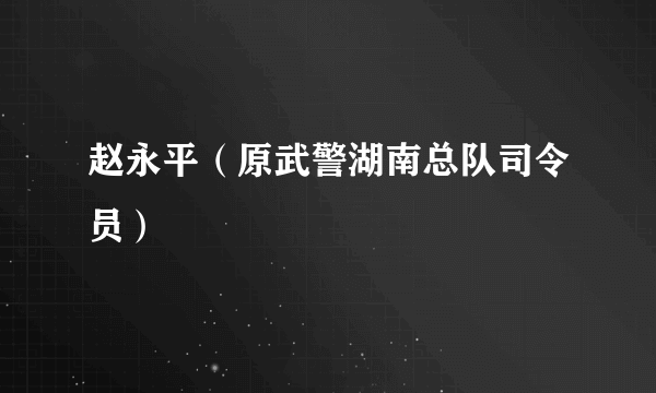 赵永平（原武警湖南总队司令员）