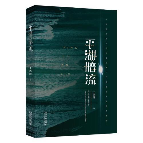 平湖暗流（2021年中国法制出版社出版的图书）