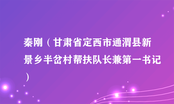 秦刚（甘肃省定西市通渭县新景乡半岔村帮扶队长兼第一书记）