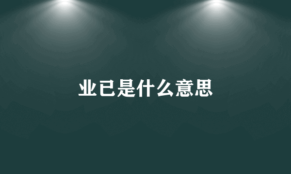 业已是什么意思