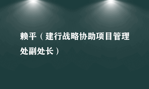 赖平（建行战略协助项目管理处副处长）