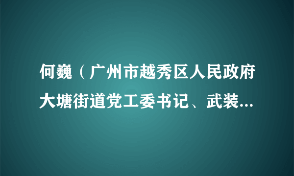 何巍（广州市越秀区人民政府大塘街道党工委书记、武装部政治教导员）