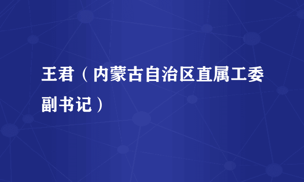 王君（内蒙古自治区直属工委副书记）