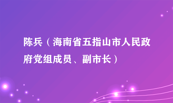 陈兵（海南省五指山市人民政府党组成员、副市长）