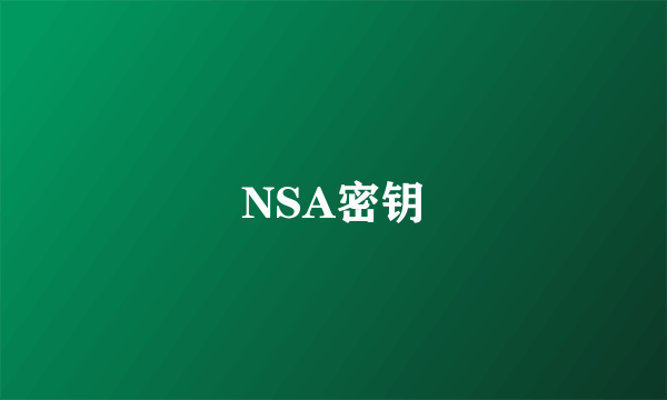 NSA密钥