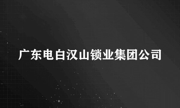 广东电白汉山锁业集团公司