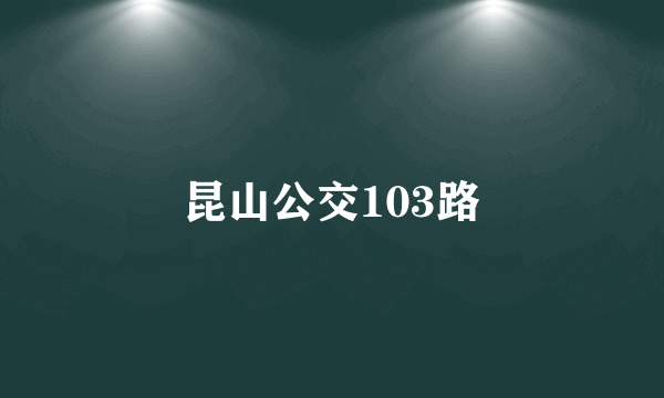 昆山公交103路