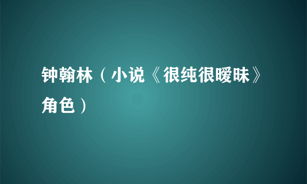 钟翰林（小说《很纯很暧昧》角色）