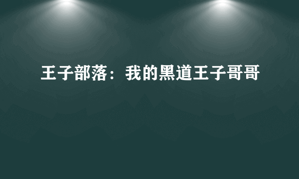 王子部落：我的黑道王子哥哥